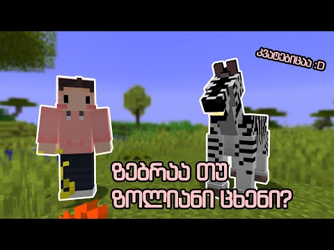 ზებრას ფანჯრის წმენდის ხმა აქვს?! | Minecraft Life in a Village #1